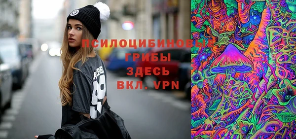 молекула духа Верея