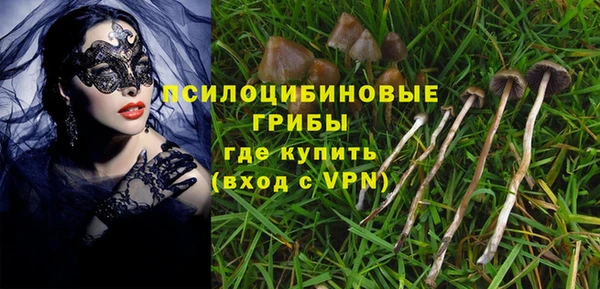 молекула духа Верея