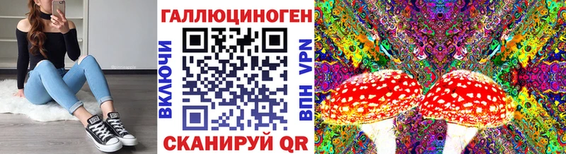Галлюциногенные грибы Psilocybine cubensis  Гвардейск 
