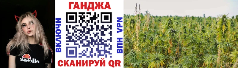 Канабис планчик  Гвардейск 